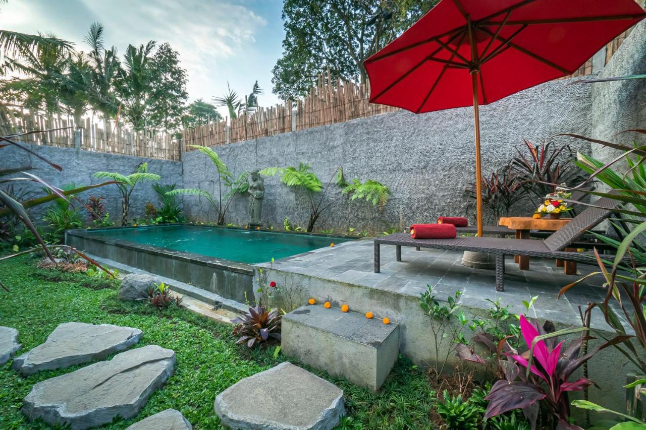 The Forest Batu Kurung Ubud
